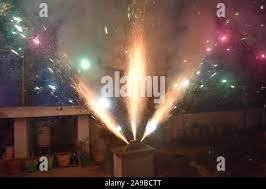 Peacock / மயில்