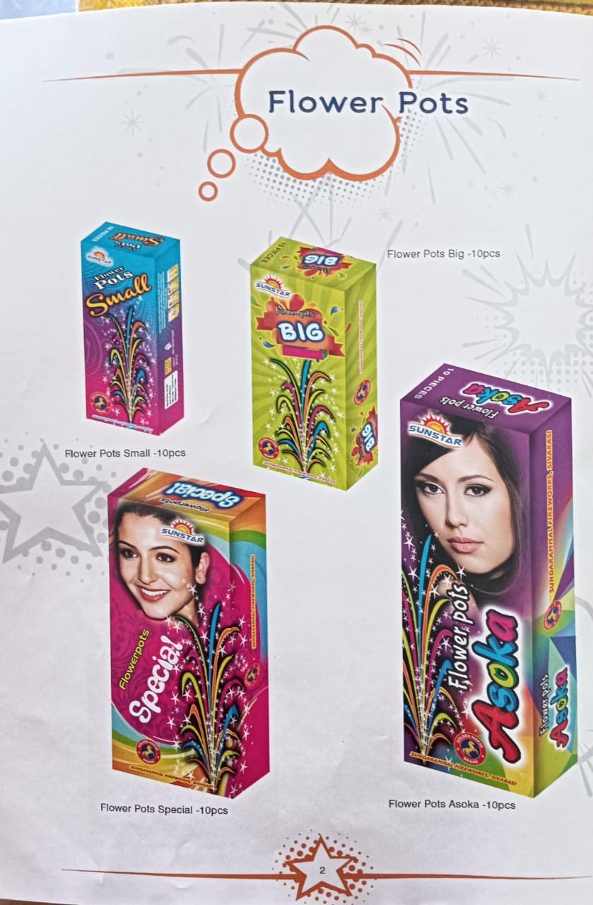 Flower Pots Ashoka / மலர் தொட்டிகள் அசோகா